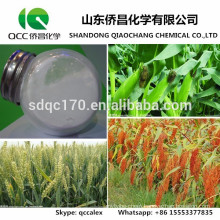 High efficiency Fungicide Tebuconazole 97%TC 80%WP 50%WDG 43%SC 25%EC 6%FS 25%WP CAS No.: 107534-96-3